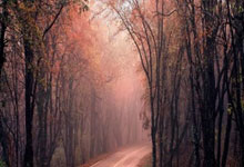 那不勒斯冲击榜首，势不可挡