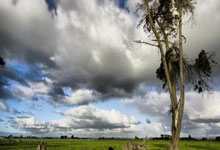 体育界热议欧国联比赛成焦点话题