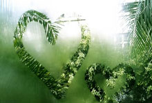 多特蒙德客场遭遇失利，遭遇停滞