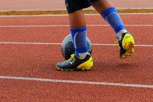 三亿体育体育app下载-阿尔艾因赛前体能检测通过，争冠筹备顺利